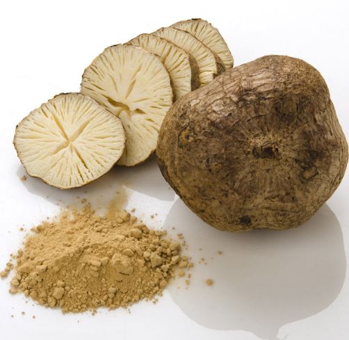 Pure Pueraria Mirifica Powder-1