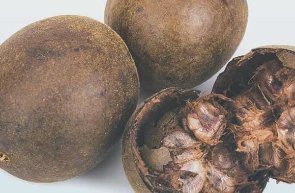 What is monk fruit What is monk fruit