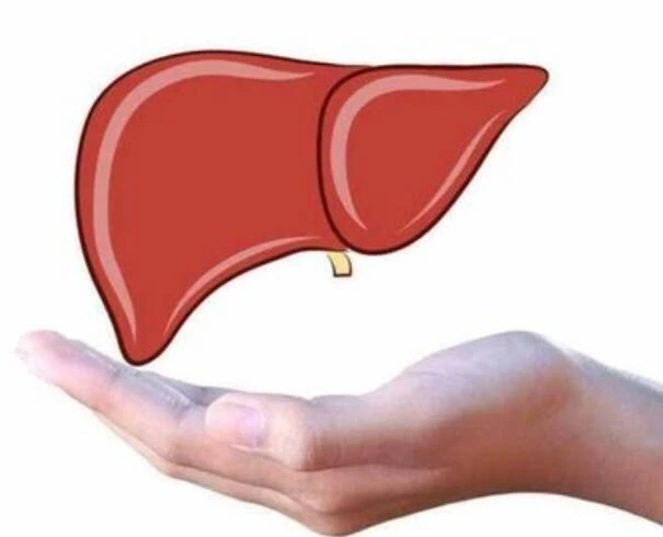 apple cider benefits for liver
