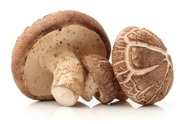 Câtă polizaharidă conține extractul de ciuperci shiitake?