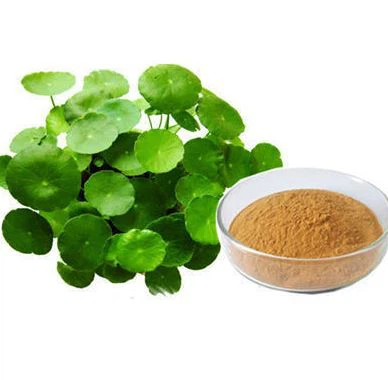 Extract de frunze de Bacopa