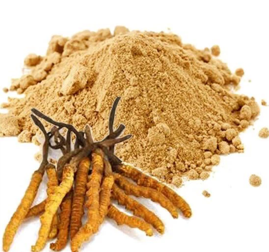 Pulbere Cordyceps Sinensis