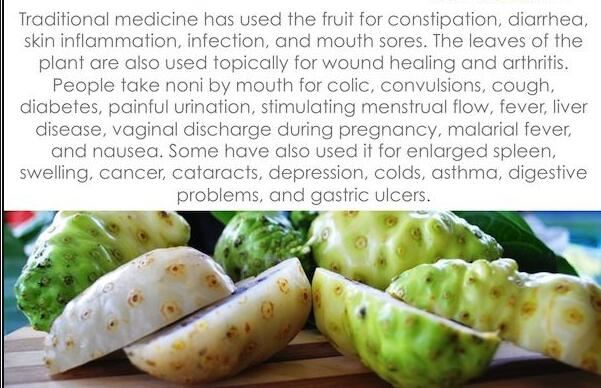 Morinda Root Beneficii