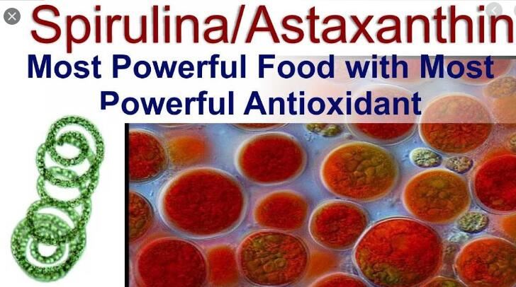 Astaxantina vs Spirulina