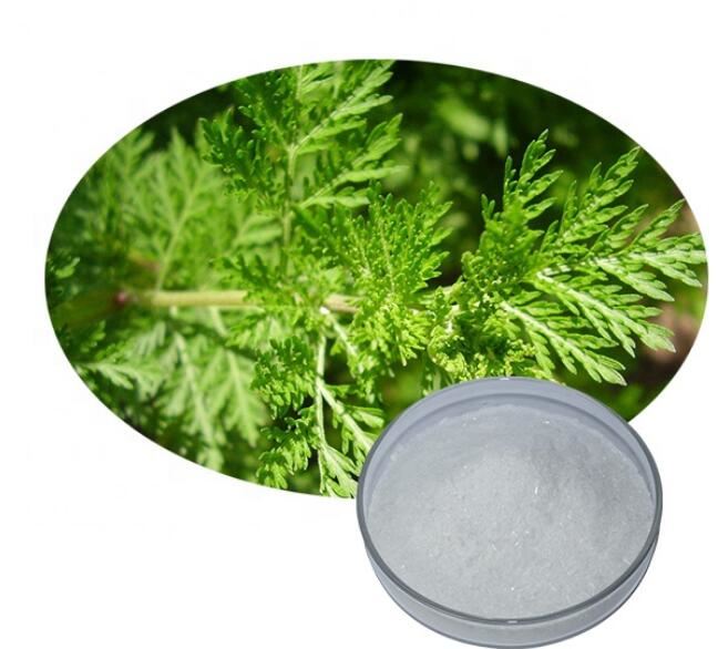 Artemisinin Beneficii