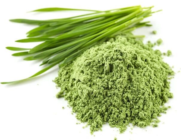 Este praf de iarbă de grâu fără gluten