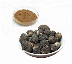 Pulbere de rădăcină de Maca neagră