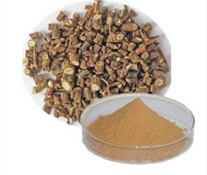 Bupleurum Extract