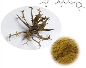 Extract de gheara diavolului