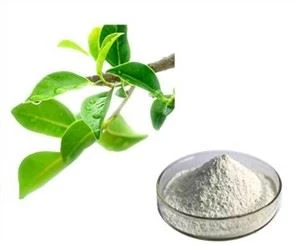 Extract de ceai verde Egcg