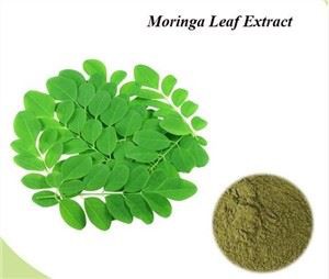Extract de frunze de Moringa