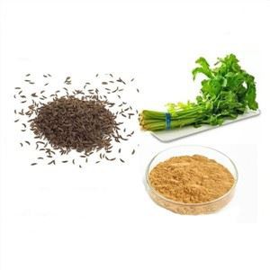 Pudră organică de semințe de țelină