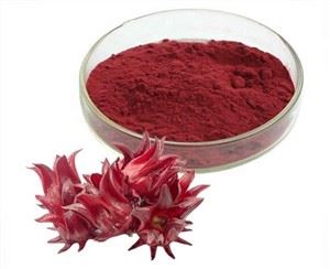 Extract de Roselle