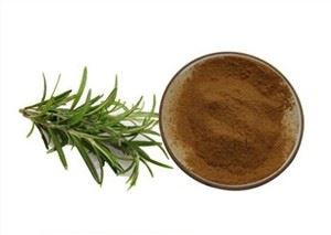 Rosmarinus Officinalis Extract de frunze de rozmarin