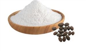 Extract de fructe Saw Palmetto
