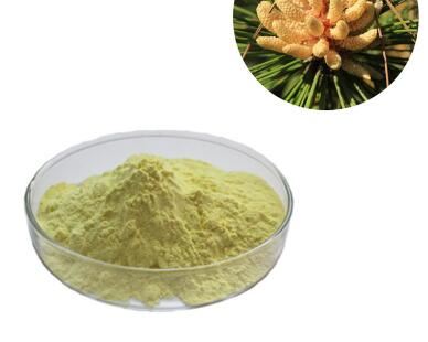 Pulbere de polen de pin galben