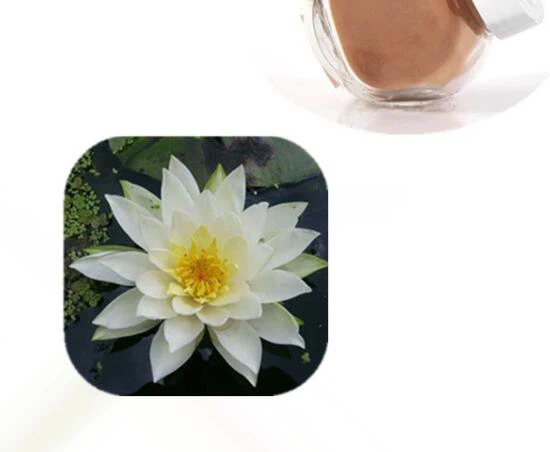 Nymphaea Alba Flower Extract