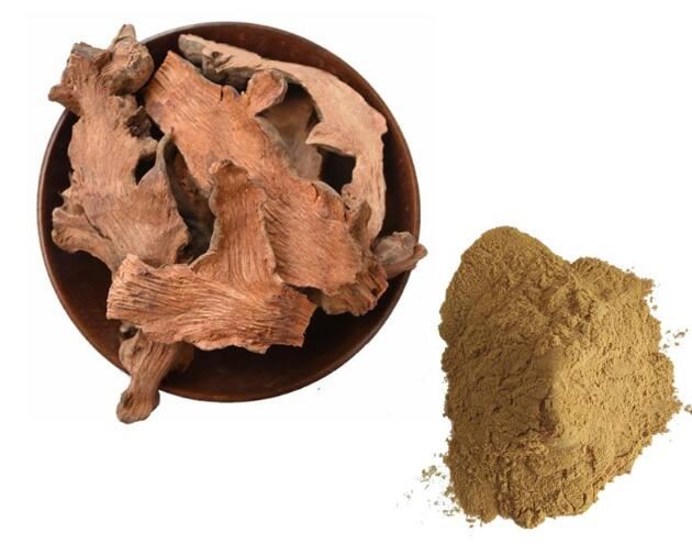 Pulbere de sarsaparila
