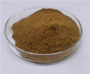 Pudră de rădăcină de Orris